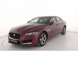 JAGUAR XF 2.0d Pure Business edition 180cv