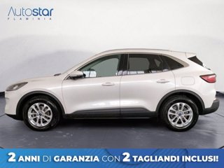 FORD Kuga 1.5 EcoBlue 120 CV 2WD Titanium