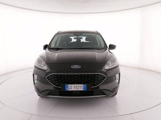 FORD Kuga 1.5 EcoBoost 120 CV 2WD Connect
