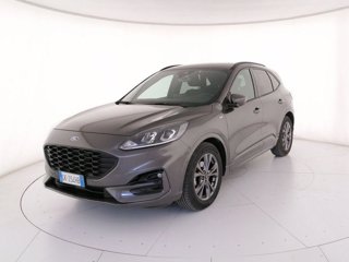 FORD Kuga 1.5 EcoBlue 120 CV 2WD ST-Line
