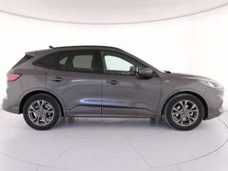 FORD Kuga 1.5 EcoBlue 120 CV 2WD ST-Line
