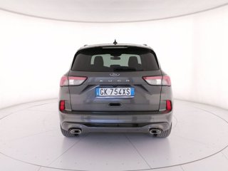 FORD Kuga 1.5 EcoBlue 120 CV 2WD ST-Line